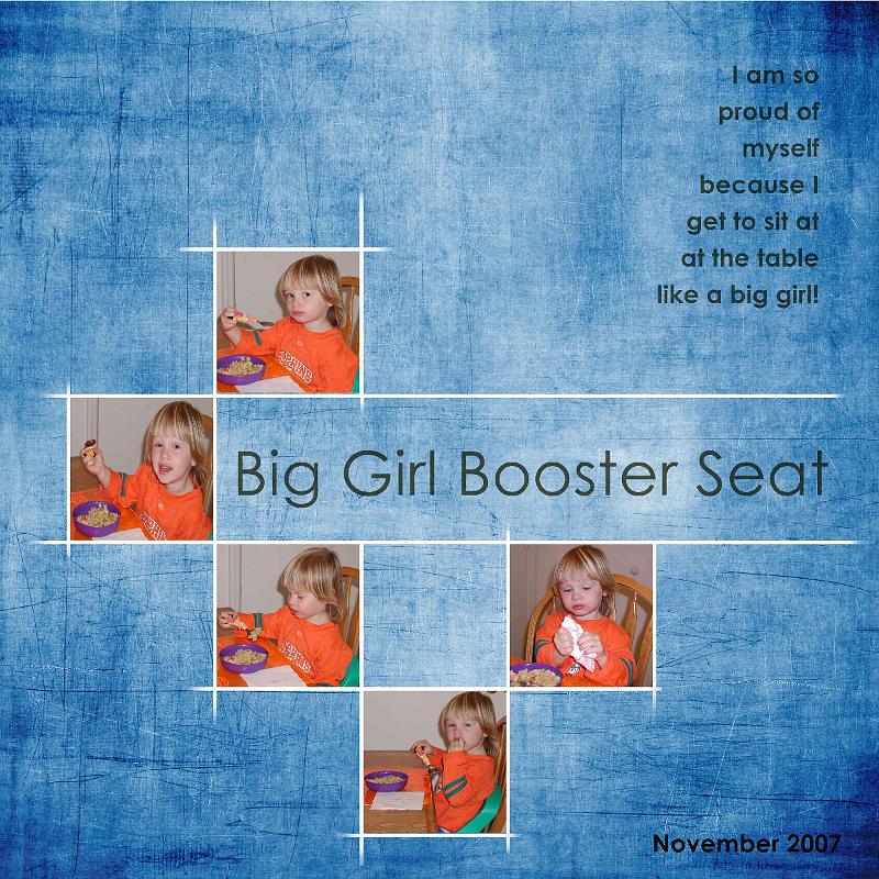 Booster Seat 2007.jpg